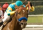 Halo Najib looks for his first graded score in the Potrero Grande Handicap.