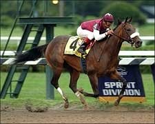 Dubai Escapade Emphatic Ballerina Winner Dubai Escapade Emphatic Ballerina Winner