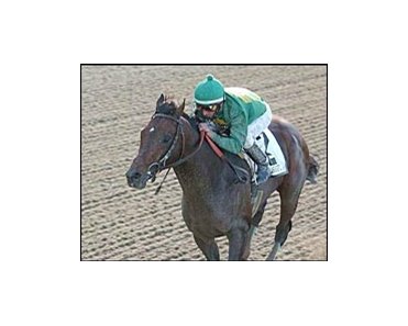 Mineshaft cruises to victory in the Woodward Stakes.