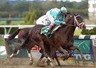 Pletcher's Scat Daddy Pops Champagne Cork Pletcher's Scat Daddy Pops Champagne Cork