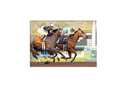 Boston Common and Gary Stevens, right, defeat Summer Service and Mike Smith to win the El Conejo Handicap, Thursday at Santa Anita.