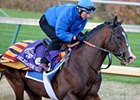 Delegator has been battling a quarter crack this week.<br><a target="blank" href="http://www.bloodhorse.com/horse-racing/photo-store?ref=http%3A%2F%2Fpictopia.com%2Fperl%2Fgal%3Fprovider_id%3D368%26ptp_photo_id%3D9265629%26ref%3Dstory">Order This Photo</a>