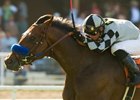Oil Man struck graded gold for the first time when he surged past his rivals with a big late kick in the Cinema Handicap on the Hollywood Park turf.<br><a target="blank" href="http://www.bloodhorse.com/horse-racing/photo-store?ref=http%3A%2F%2Fpictopia.com%2Fperl%2Fgal%3Fprovider_id%3D368%26ptp_photo_id%3D8259391%26ref%3Dstory">Or</a>