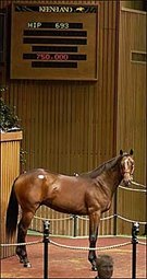Giant's Causeway, Monarchos Colts Top Heated Wednesday Session Giant's Causeway, Monarchos Colts Top Heated Wednesday Session