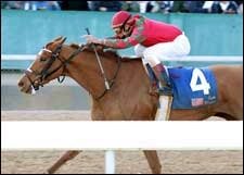 Fleur de Lis Has Solid Field Set Fleur de Lis Has Solid Field Set