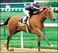 On Wednesday Saratoga is Special On Wednesday Saratoga is Special