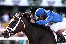 Mo Cuishle Looks Like a Million at Monmouth Mo Cuishle Looks Like a Million at Monmouth