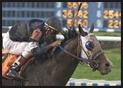 Repent Heads Strong Field of Eight in Louisiana Derby Repent Heads Strong Field of Eight in Louisiana Derby