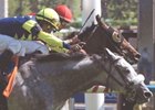 Sterwins and Rahy's Attorney, shown finishing 1-2 in the Connaught Cup, will meet again in the King Edward Stakes.