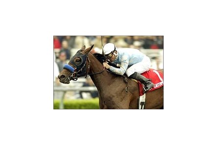 Sweet Catomine takes Santa Anita Oaks in grand style.