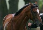 Ramonti Grabs Group I Glory for Godolphin Ramonti Grabs Group I Glory for Godolphin