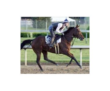 Balance emerges from draw as early favorite among 14 fillies in Friday's Kentucky Oaks at Churchill Downs.