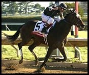 Take Charge Lady 4-5 Favorite in Dogwood Take Charge Lady 4-5 Favorite in Dogwood