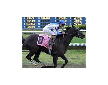 Scipion wins Risen Star.