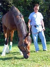 Barbaro's Latest Setback Forced Risky Surgery Barbaro's Latest Setback Forced Risky Surgery