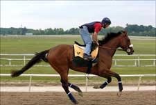 Preakness Notes: Sunday, May 14 Preakness Notes: Sunday, May 14