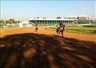 Kentucky Derby: Mr. Z Gallops Out Kentucky Derby: Mr. Z Gallops Out