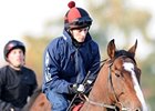 Workforce Retired; Will Stand in Japan Workforce Retired; Will Stand in Japan
