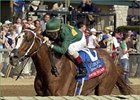 Quintons Gold Rush, winning the Coolmore Lexington Stakes.