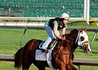Dublin turned in a final breeze at Churchill Downs on April 25.<br><a target="blank" href="http://www.bloodhorse.com/horse-racing/photo-store?ref=http%3A%2F%2Fpictopia.com%2Fperl%2Fgal%3Fprovider_id%3D368%26ptp_photo_id%3D8898649%26ref%3Dstory">Order This Photo</a>