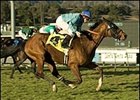One Off, winning the San Marcos, could be favored in the San Luis Rey.