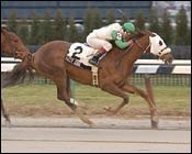 Lizzy Cool Enjoys the Ruthless Pace at Big A Lizzy Cool Enjoys the Ruthless Pace at Big A