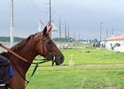 Indiana Downs Sustains Storm Damage Indiana Downs Sustains Storm Damage