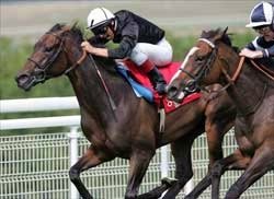 Filly & Mare Turf Preview: Still On Board Filly & Mare Turf Preview: Still On Board