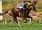 Voodoo Dancer cruises to victory in the Palomar Handicap.