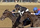 Take Charge Lady, in her Spinster Stakes victory.