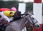 Quiet All American Among OBS Race Winners Quiet All American Among OBS Race Winners