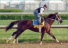 Haskin: "...blistering five-furlong works by Smarty Jones (pictured) and Birdstone dominated the morning activities Saturday."