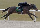 Bloodstock agent Buzz Chace signed the sale ticket for Hip No. 1 at OBS.