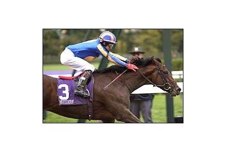 Unbeaten Johannesburg upsets favorite Officer in the Breeders' Cup Juvenile.<br>