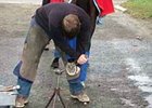 Trainers Consider Mud Calks for Better Traction Trainers Consider Mud Calks for Better Traction