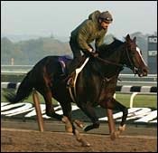 Steve Haskin's Classic Report -- Oct. 22 Steve Haskin's Classic Report -- Oct. 22