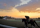 <br><a target="blank" href="http://www.bloodhorse.com/horse-racing/photo-store?ref=http%3A%2F%2Fpictopia.com%2Fperl%2Fgal%3Fprovider_id%3D368%26ptp_photo_id%3D8322702%26ref%3Dstory">Order This Photo</a>