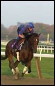 Sakhee Tunes Up For Diamond Stakes Sakhee Tunes Up For Diamond Stakes