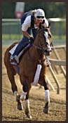 Harlan's Holiday Sent to Pletcher Harlan's Holiday Sent to Pletcher