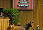 Giant's Causeway Filly Brings $2,550,000 Giant's Causeway Filly Brings $2,550,000