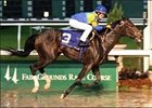 Good and Lucky Wins Woodchopper in Slop Good and Lucky Wins Woodchopper in Slop