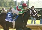 Grade II Winner Be Gentle Retired Grade II Winner Be Gentle Retired
