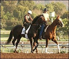 Halfbridled, Other Mandella Horses Breeze Halfbridled, Other Mandella Horses Breeze