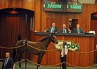 Hip #1, Silver Deputy - Daisy Dukes by Ghazi, brought $520,000 to top the auction.