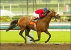Lundy's Liability, ridden by David Flores, wins the San Antonio Handicap.