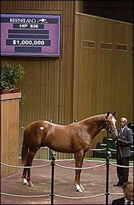 Mr. Greeley colt, sold for $1 million.