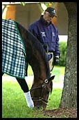 Surgery Delayed for Derby Runner-Up Proud Citizen Surgery Delayed for Derby Runner-Up Proud Citizen