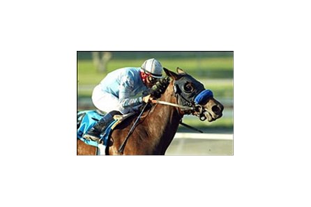 Sweet Catomine, ridden by Corey Nakatani, cruises to victory in the Oak Leaf Stakes, Saturday at Santa Anita.