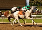 Zazu sweeps to the win in the Lady's Secret at Santa Anita.