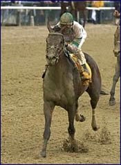 Best Minister Flashes Speed in Belmont Work Best Minister Flashes Speed in Belmont Work